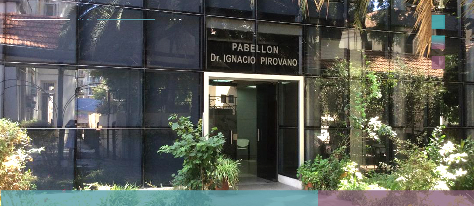 XX Curso Actualización en Inmunizaciones a distancia 2026